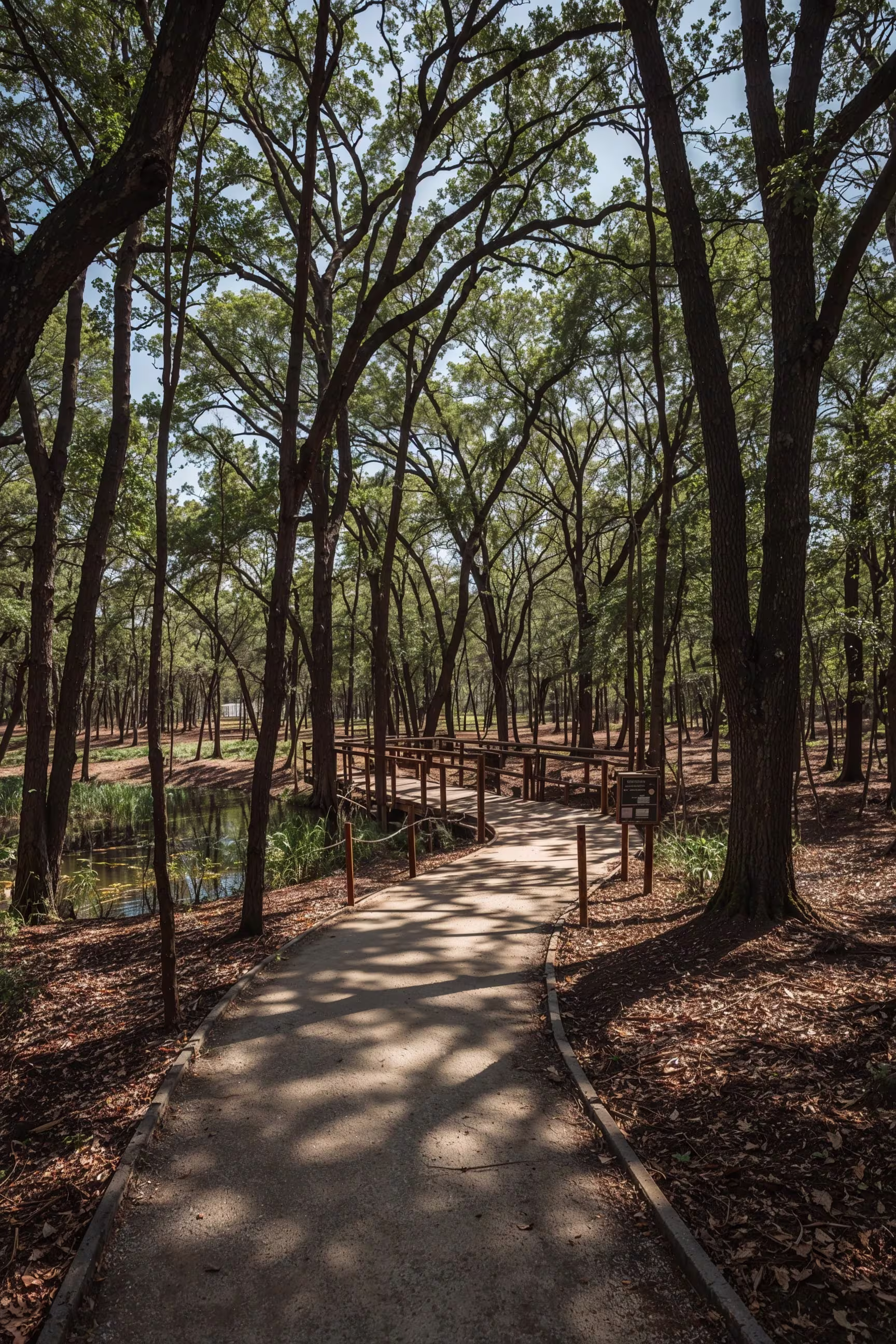 A Photo of the woodland loop at Russ Pitman Park.