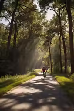 A photo of a Bike rider on the road near Dennis Johnston Park.