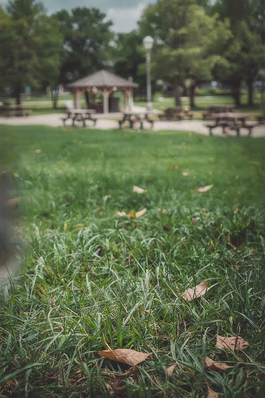 The Pavilion and Picnic park benches.