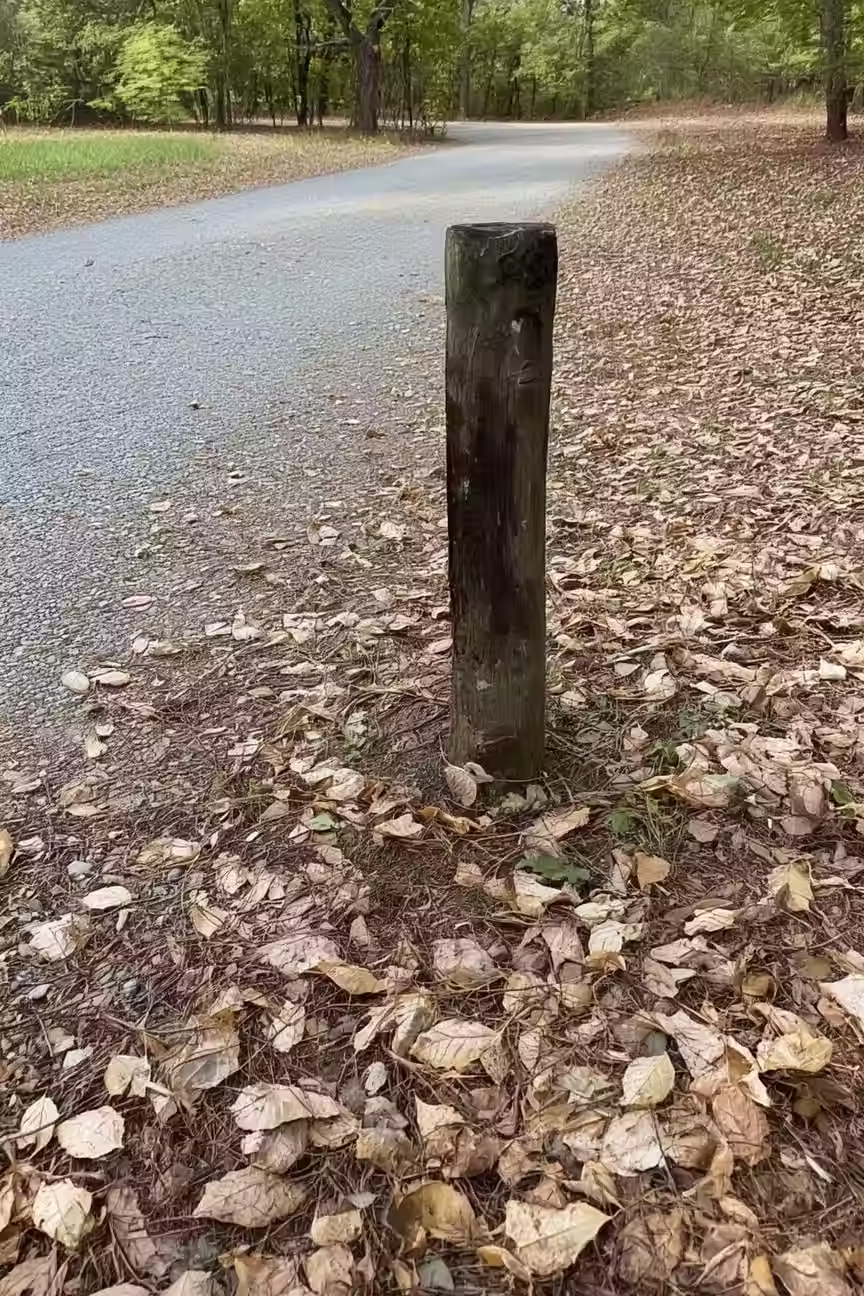 A Photo of a Trail Marker. Just a Little Bit away from the dog park, telling you that you are off trail.