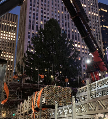 Christmas tree set up at Rockefeller Center