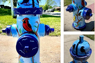 Newly painted hydrants located in Emmaus, PA
