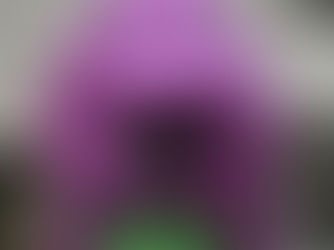 Barney the Dinosaur makes an appearance for the first time in more than 10 years