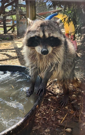 A popular resident of the Lehigh Valley Zoo has died