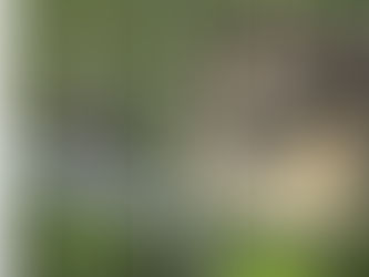Palmer Township Police rescue owl stuck in soccer net at Keystone Park