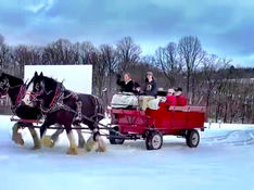 With fresh snow on the ground, it was a perfect day for a horse-drawn sleigh ride at Becky's Drive-In in Walnutport PA 