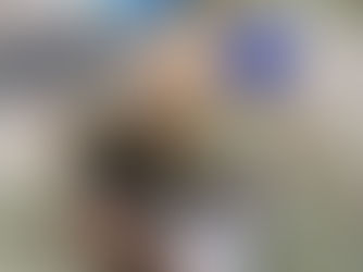 Lehigh Valley Zoo welcomes three new residents