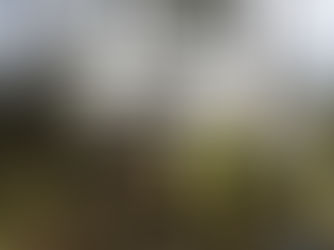 Celebrate Spring at Pennsylvania state parks and forests! 