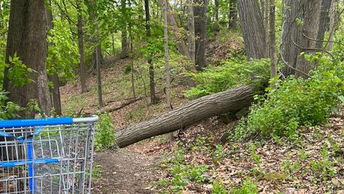 Human remains identified as missing Stroudsburg woman