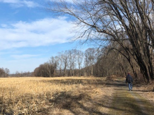 Hiker at Delaware Water Gap National Recreation Area bit by raccoon which later tested positive for rabies
