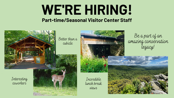 Hawk Mountain Sanctuary hiring part-time/seasonal visitor center staff