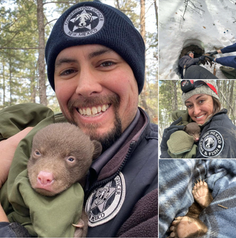 Professional bear huggers for hire in New Mexico