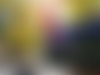 Incorrect instructions sent with mail-in and absentee ballots mailed to voters in Lehigh County