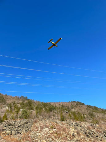 Aerial seeding taking place over D&L Trail through April 7th