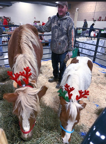 Mountainview Horse rescue getting ready for the Winter Wonderland Extravaganza at Ag Hall