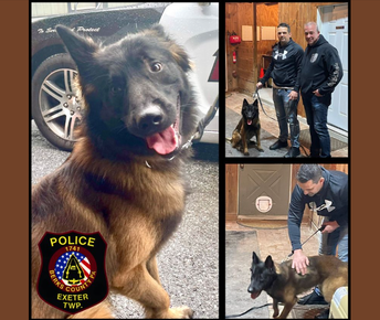 Meet K-9 Kilo, the newest member of the Exeter Township Police Department!