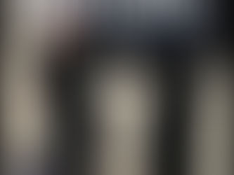 Found: Pup rescued from soccer net in Exeter Township