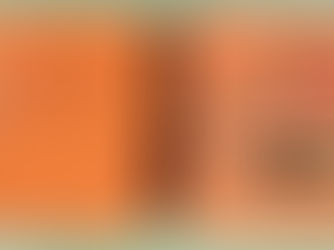 Lehigh Valley BBQ in Easton permanently closes due to roof collapse, in need of community's help