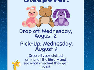 It's a Stuffed Animal Sleepover at Bethlehem Area Public Library!