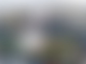 At least 13 fatalities confirmed from Hurricane Milton, how you can help communities