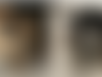 Black, tan, and white male dog found in Bethlehem