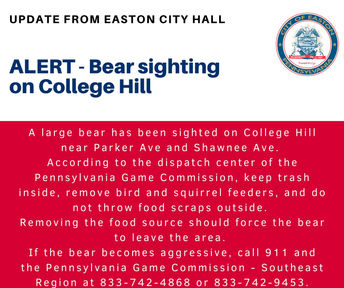 ALERT: Bear sighting on College Hill in Easton