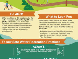 Look out for harmful algal blooms at Lake Galena and Lake Towhee in Bucks County