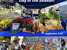 Last West Ward Market Day of the Season to take place on Wednesday