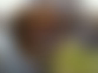 42nd Annual Walnutport Canal Festival is expected to be the last