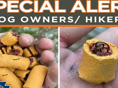 Hiker finds dog treats stuffed with fishhooks on Appalachian Trail