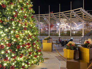 Holiday Tree Lighting at Promenade Shops at Saucon Valley to be held this weekend