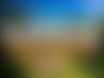 Establishing Grass Seed: How to Care for New Seed in the First Two Months