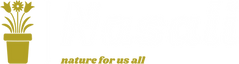 logo-no-background (1).png