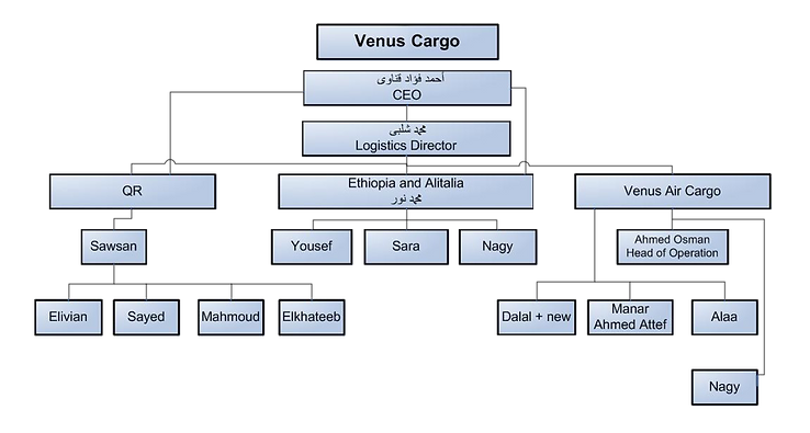 Chart-Cargo11.png