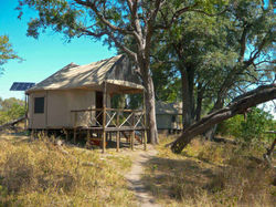Camp_Linyanti_SD_BSC_04