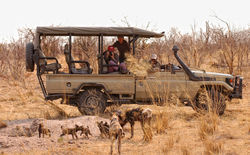 Footsteps_KDB_BSC_15