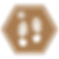 BSC_CampActivity_Guidedwalks_Seasonal