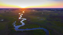 Khwai_Tented_ABC_BSC_04