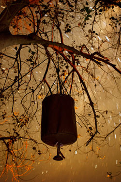 Footsteps_KDB_BSC_19