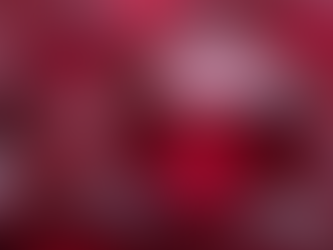 Why Are Rubies Such a Hot Commodity in the World of Gemstones?