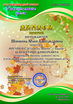 Шишкина Юлия Александровна