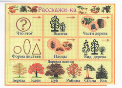 img-170217160000-001