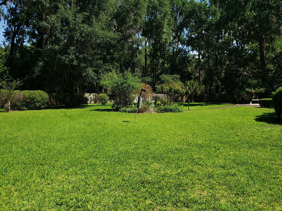 GGC Grounds12