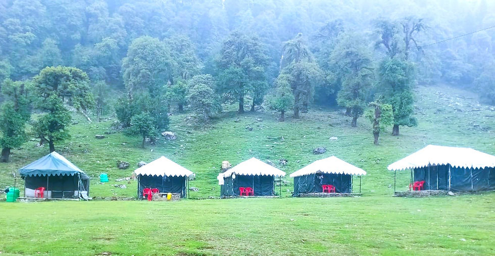 Parakitnest Campsite,Chopta