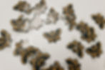 Thumbnail: OG Moth Patch Goldish Yello