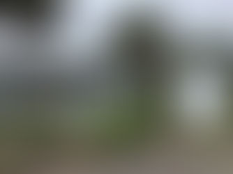 Love and Grow Clothing