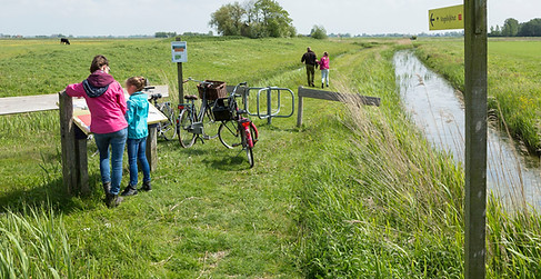 Fietsen Greidhoeke