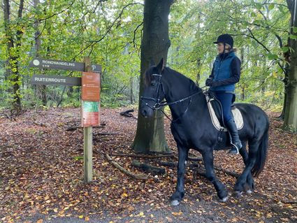 Paardrijden in het Gaasterland in de herfst