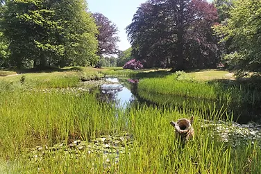 Park Huize Olterterp