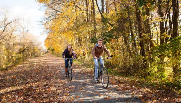 Fietsers in Friesland in een bos in de herfst